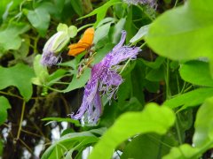 Dsc00011b