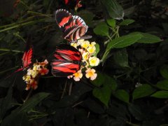 Dsc00037b