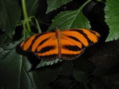 Dsc00043b