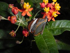 Dsc00045b