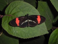 Dsc00047b